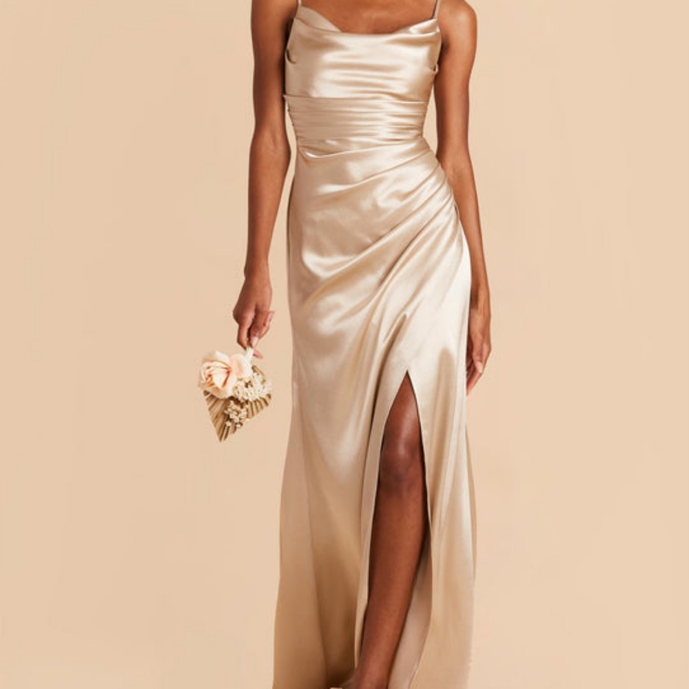 Birdy Grey Shiny Satin Neutral Champagne Lydia Dress